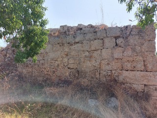 Basilica Pitturata